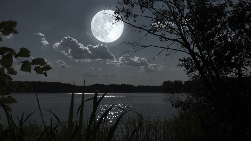 Full Moon Night Landscape With Forest Lake. Stock Footage Video 7229674 ...