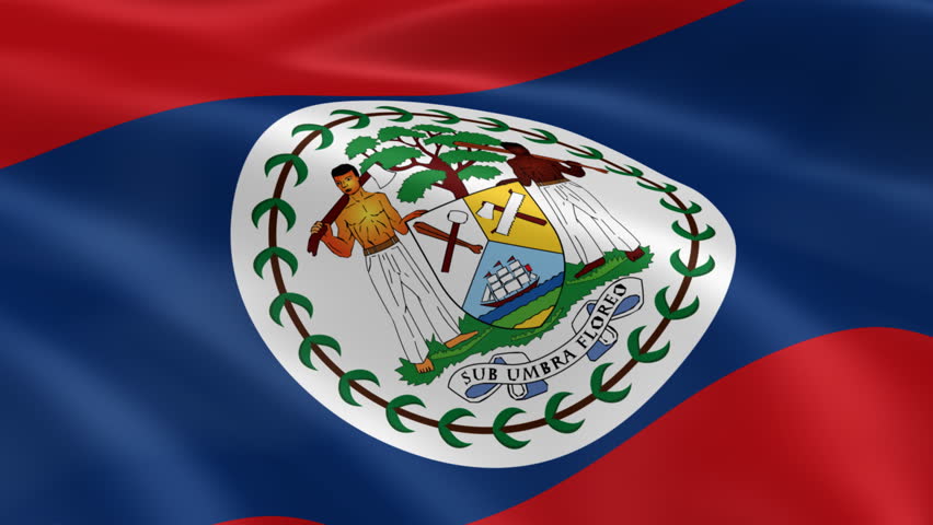 Belizean Flag In The Wind. Part Of A Series. Stock Footage Video 813199 ...