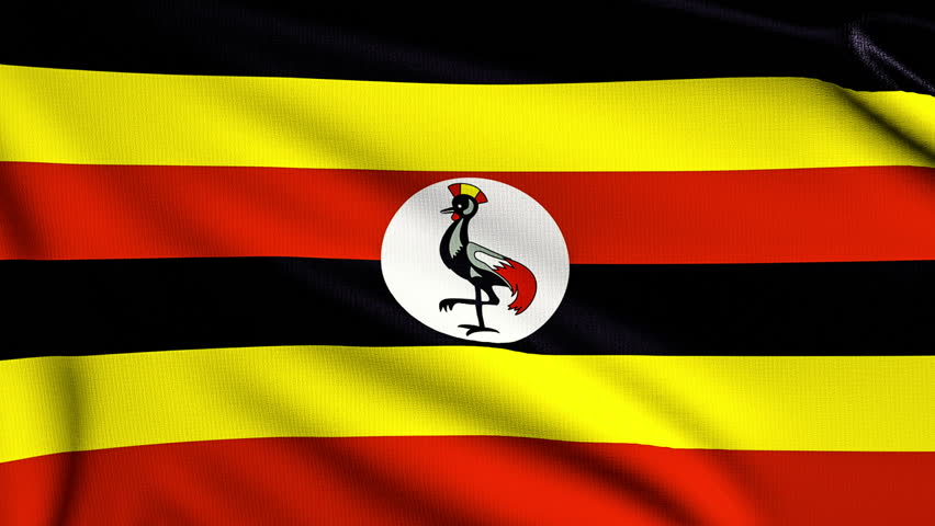 Uganda Flag Slowly Waving. Alpha Included. Seamless Loop. Stock Footage ...