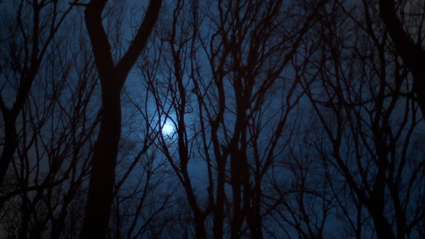 Full Moon Shines Bright Behind Tree Branches Blowing In The Wind. Stock ...